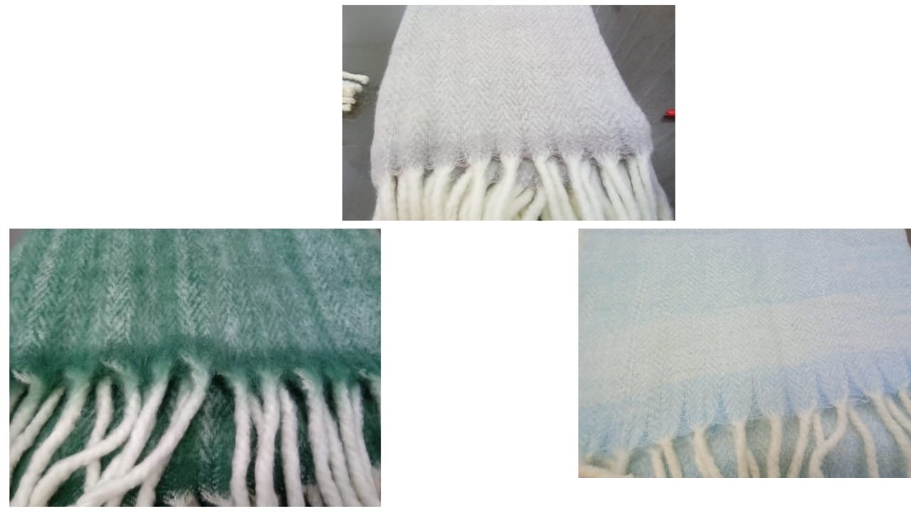 WhatsApp Image 2024-04-05 at 5.47.50 PM