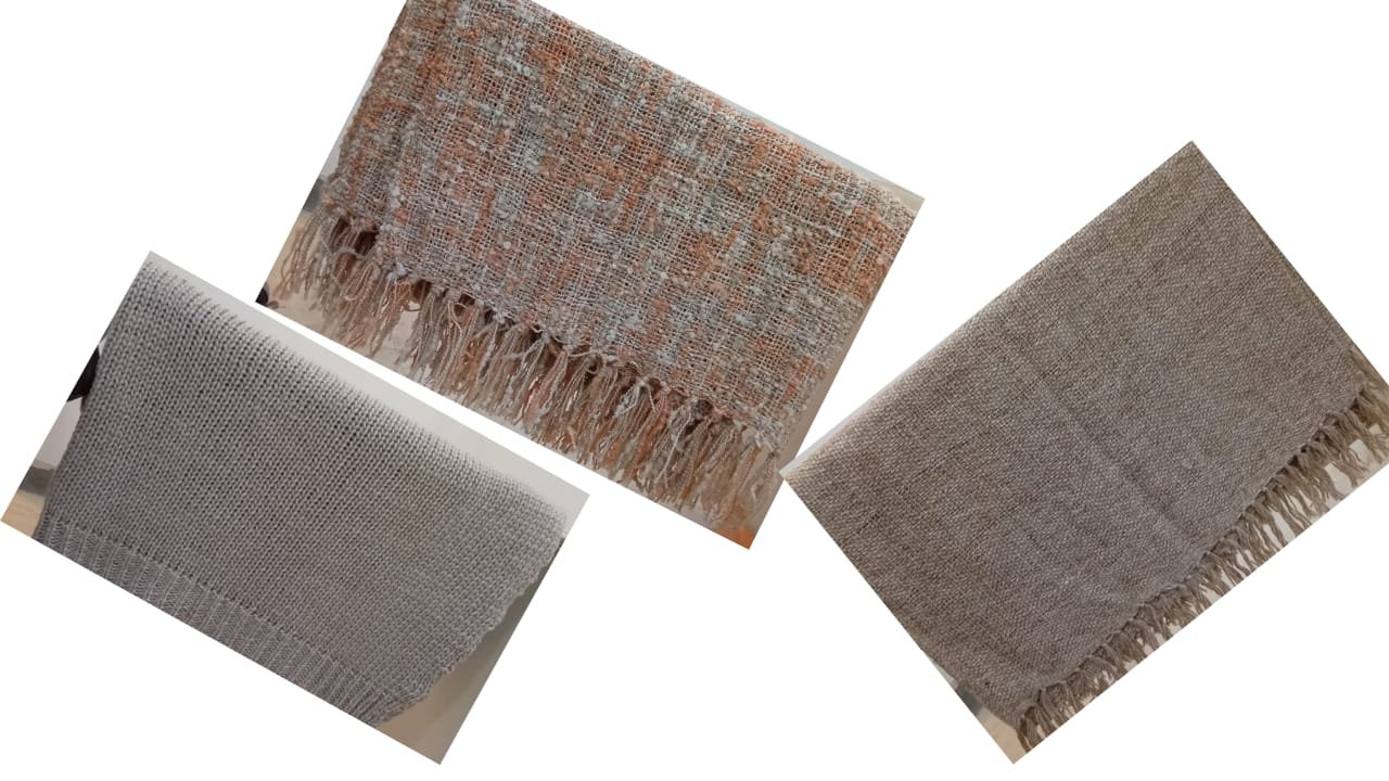 WhatsApp Image 2024-04-05 at 5.55.41 PM